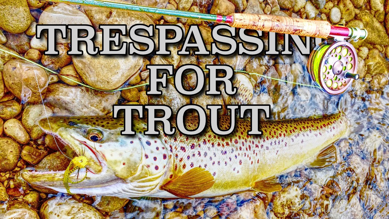 Large Flies & Large Browns On The Saugeen River Ft. Ken Chandler