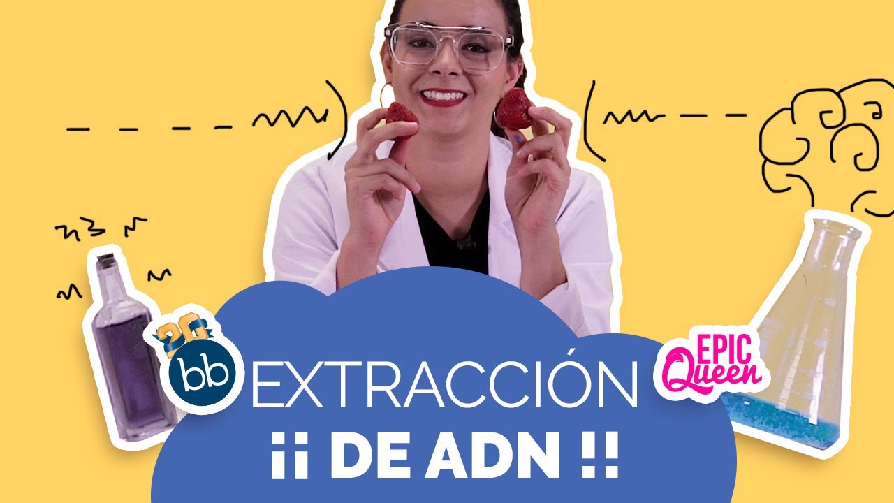 Tutorial para EXTRAER el ADN de una fruta