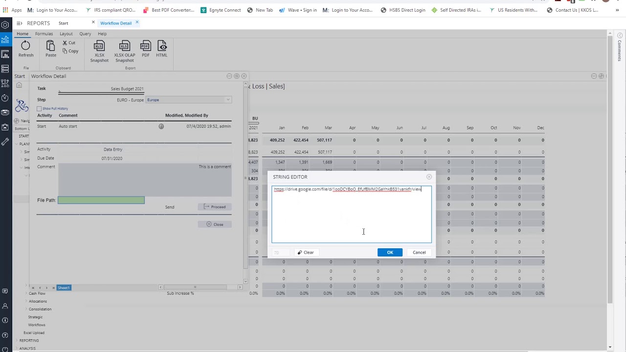 Jedox Workflow Demo