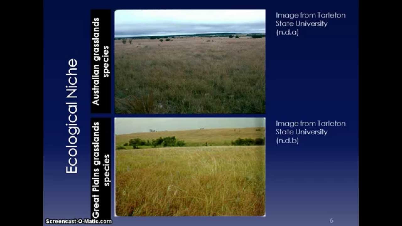 Species Interactions