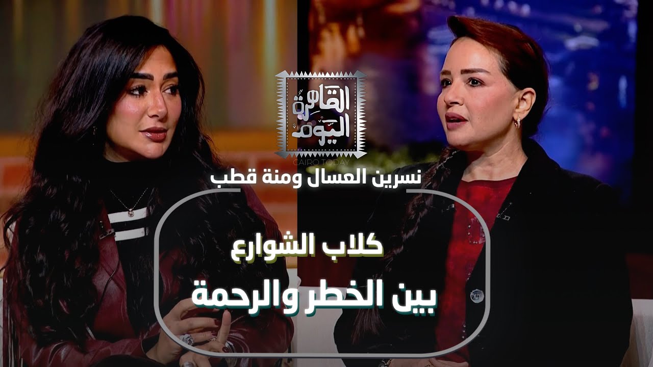 كلاب الشوارع بين الخطر والرحمة | نسرين العسال ومنة قطب في نقاش إنساني