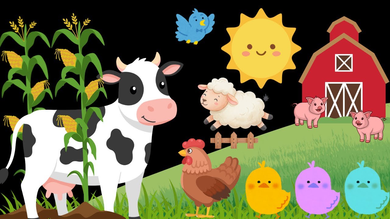 Baby Sensory Farm Animal Fun Colors High Contrast with Visual Stimulation 
