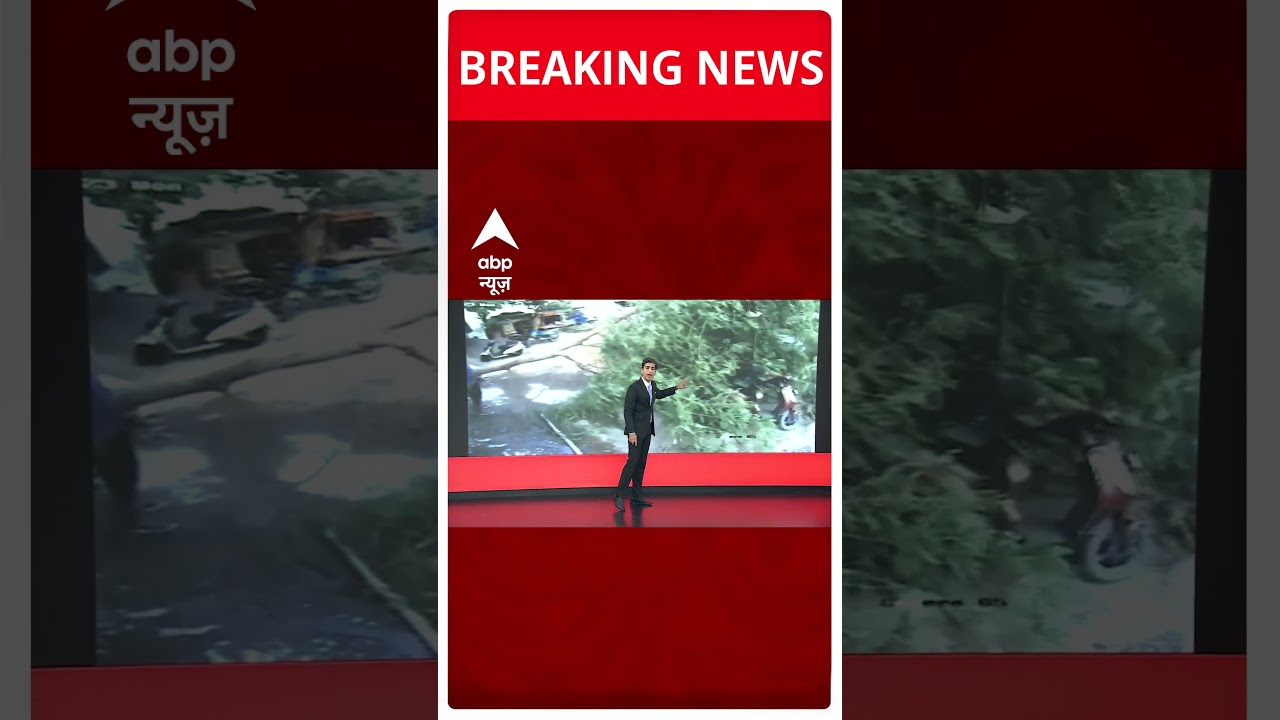 तेज हवाओं के चलते सूरत में गिरा पेड़ | Cyclone Biparjoy | Hindi News | ABP News