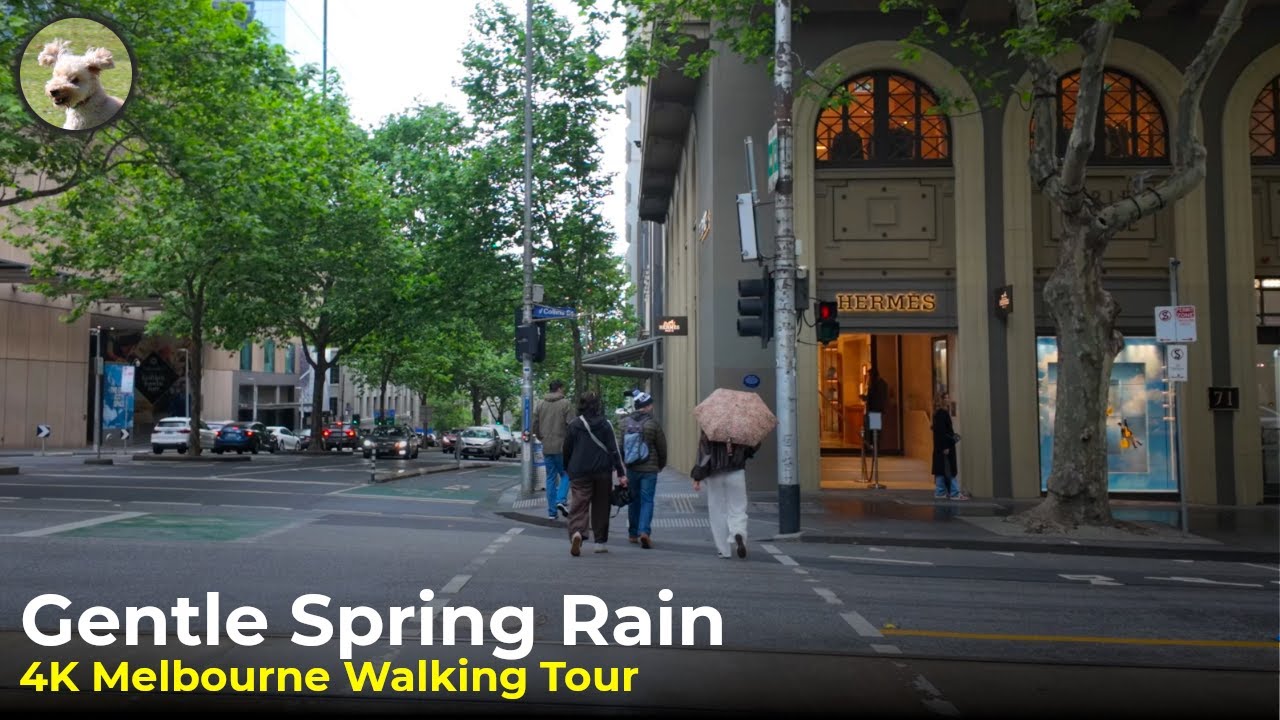 Cosy Melbourne Showers  | Exhibition Street Walking Tour 4K