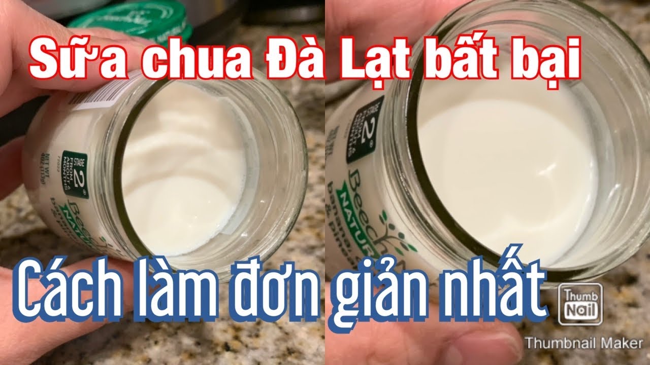 Sữa chua Việt Nam lam từ sữa chua Mỹ ,ủ nồi Instant pot/Sữa chua Đà Lạt,dẻo ,úp ngược /dễ thành công