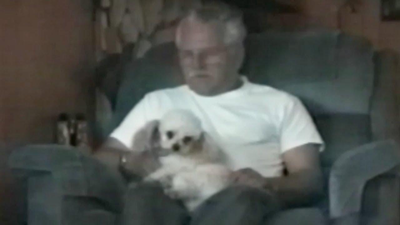 This dog hates having fleas