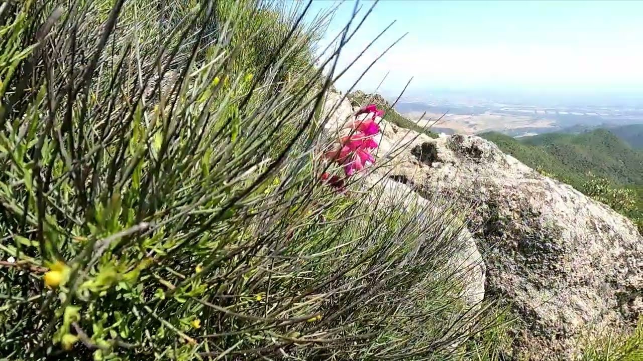 Trekking in Vetta a Monte Arcosu