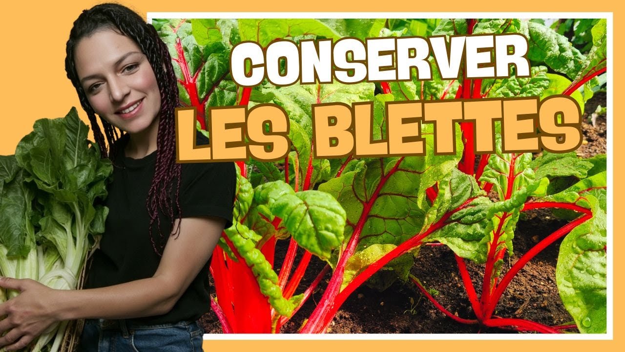 👩‍🌾 Une super astuce pour conserver les côtes de blettes sans cuisson ni stérilisation