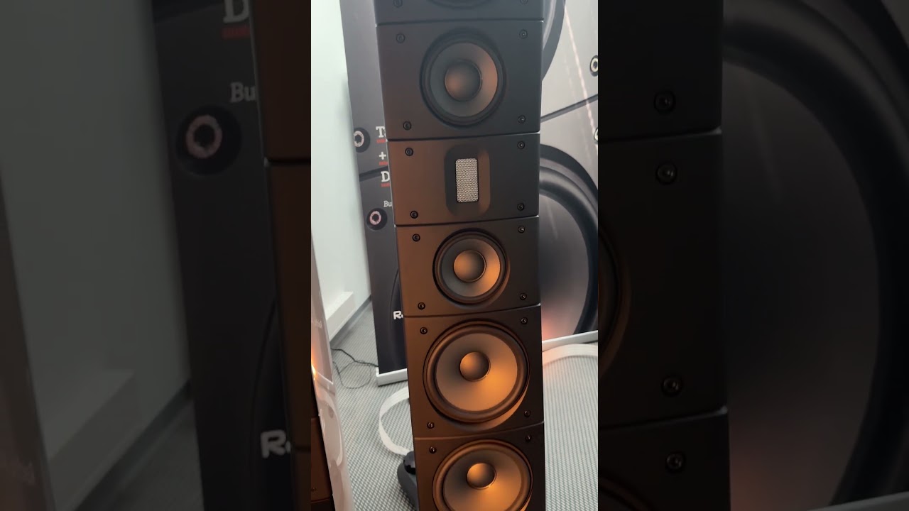 Raidho TD6 and Moon 888 Monoblocks 🔥🔥🔥 #highendaudio #poweramplifier #audiophile