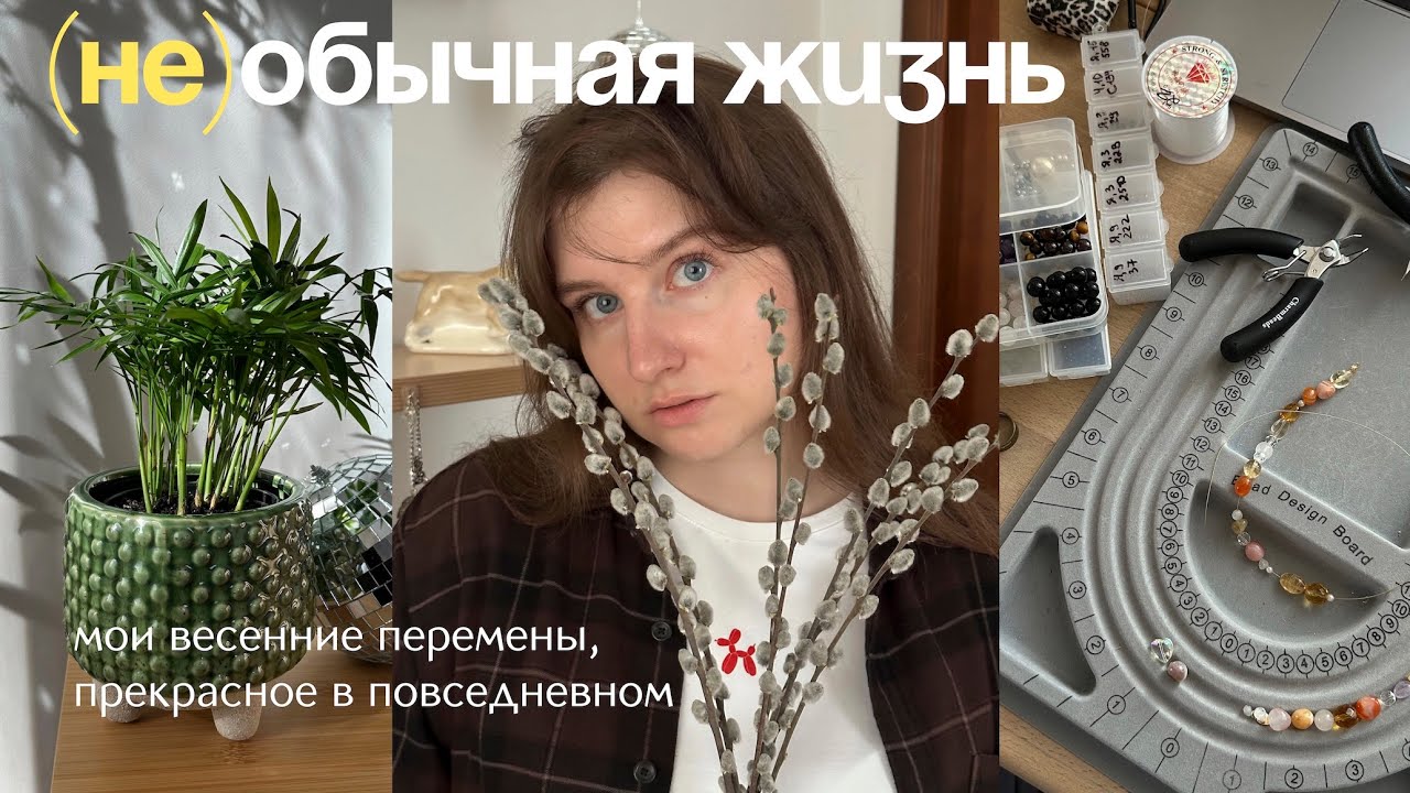 замечать прекрасное в обычном | иду в автошколу, пересаживаю Никитоса, делаю украшения