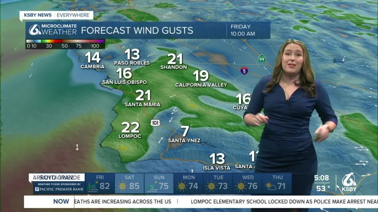 Clear skies and warmer conditions return