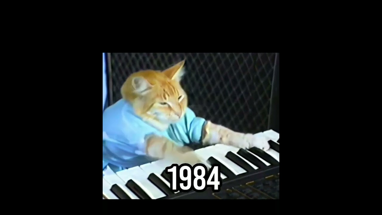 Piano Cat (then vs now)
