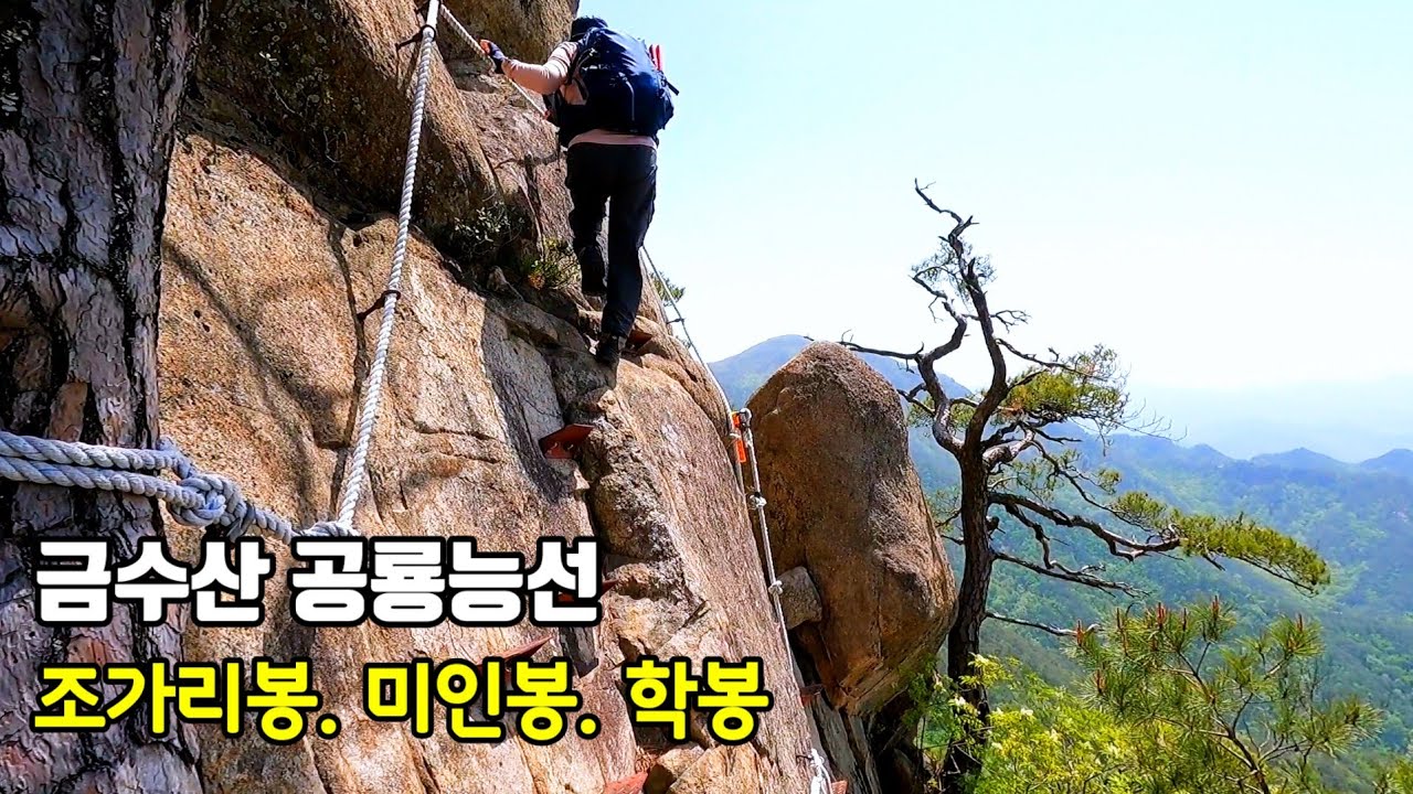 금수산  공룡능선.    조가리봉~미인봉~학봉.   금수산 어디까지 타보셨나요??  암릉의 끝판왕!!  유격훈련급 밧줄!!