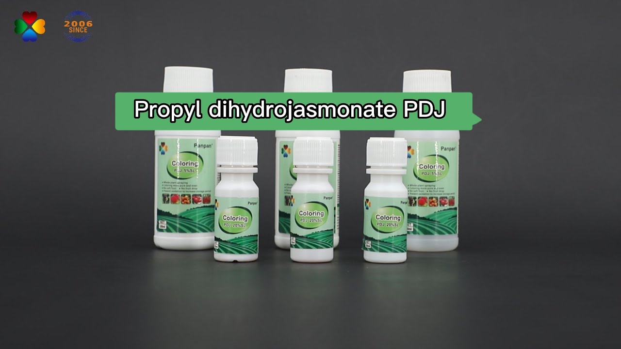 pdj video