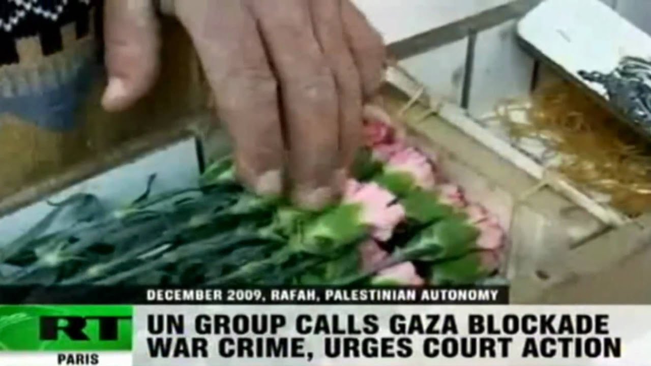 UN Group Urges Actions Vs Egypt & Israel War Crimes