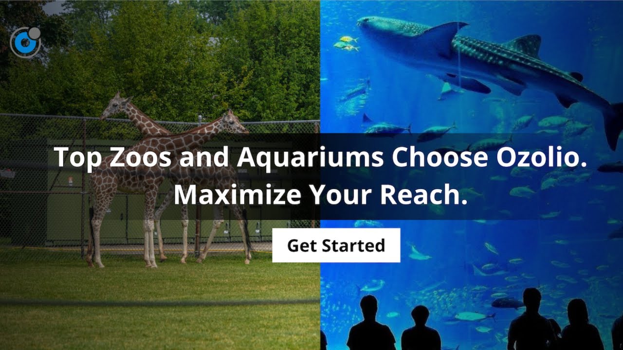 Top Zoos & Aquariums Choose Ozolio Live Streaming.