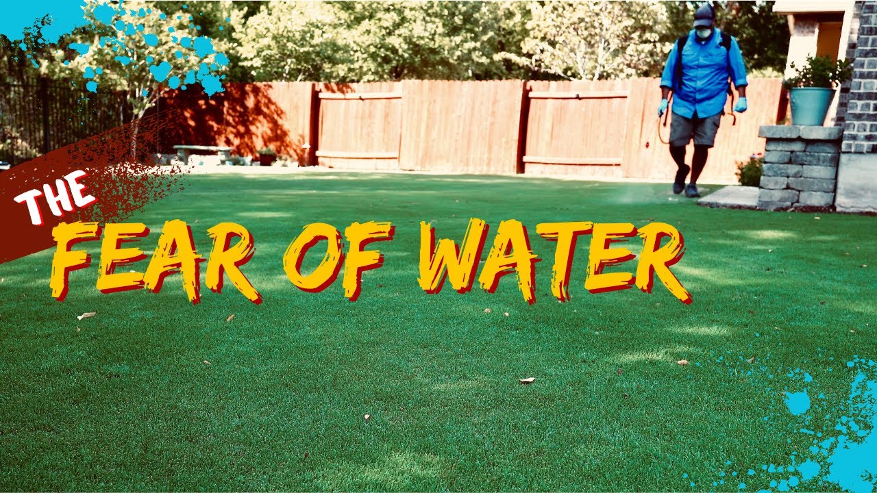 Thin, Dry, Yellow Grass?  Try This One Simple Thing To Hydrate Your Lawn!
