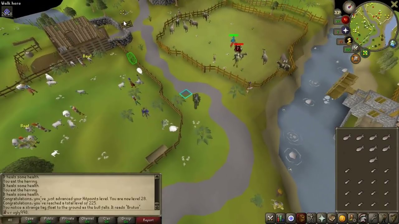 OSRS War Fam HCGIM Episode 5: Cow Boss Brutus vs Noobs