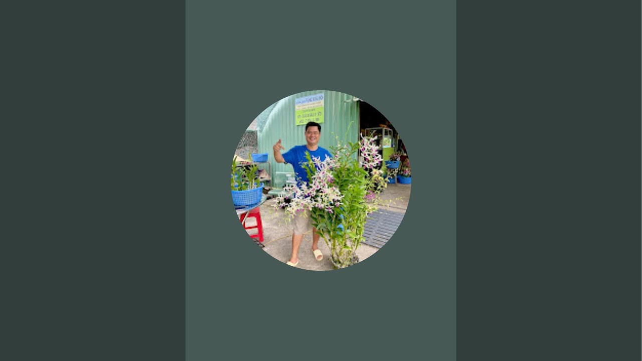 Vườn Lan Tùng Xoài Đôi đang phát trực tiếp! 16/3 - 092.6996.979