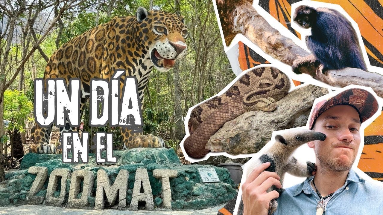 Visitando el Zoomat | Zoologico con puras especies mexicanas.