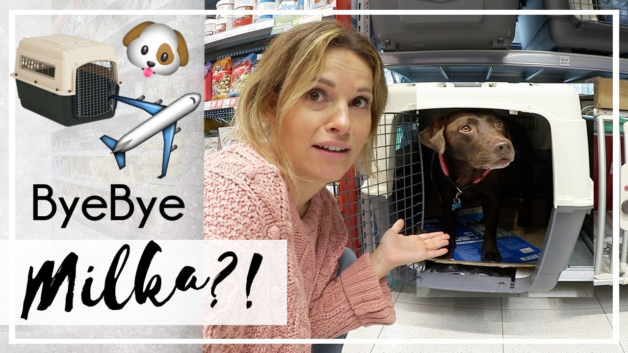 Milka alleine auf Reisen?! | Live Shopping Haul | KaroLovesMilka