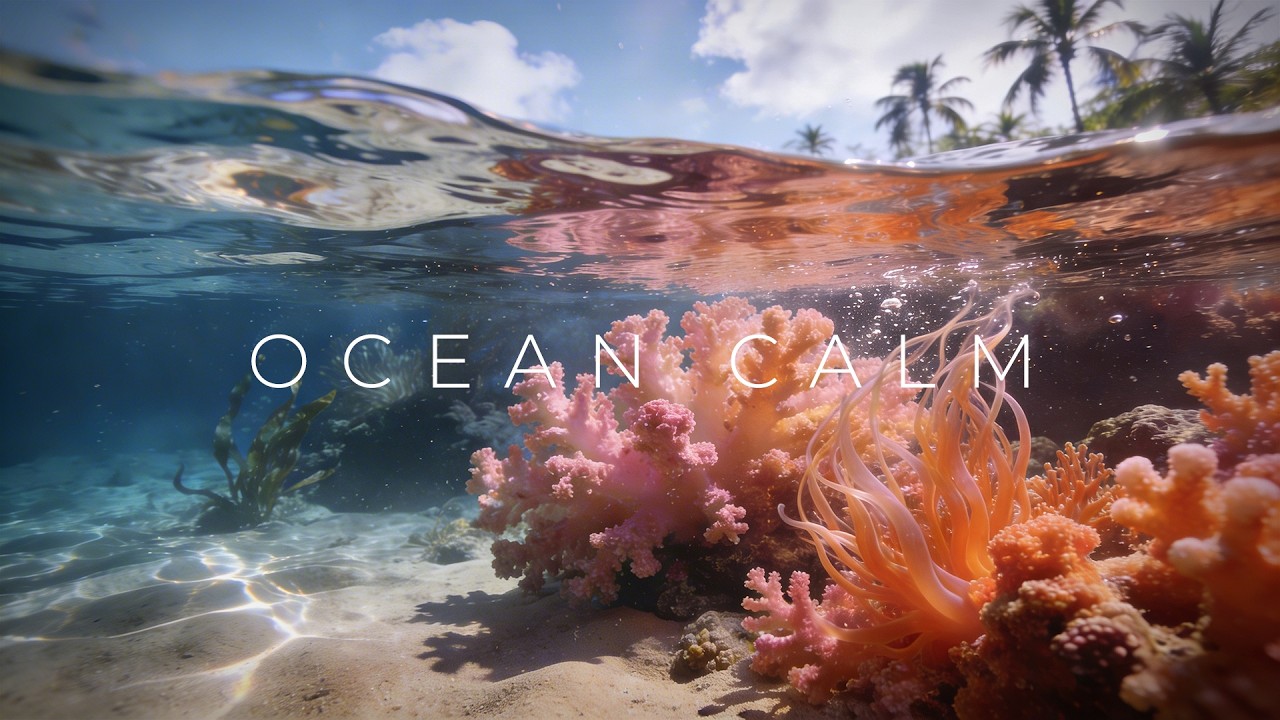 Ocean Calm • 1 Hour Relaxing Underwater Ambience