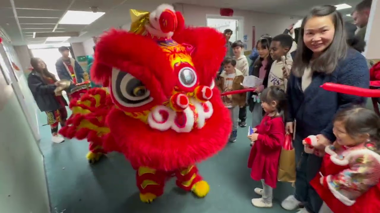 Year of the Horse 2026 | Journey Through China – Tour Across 12 Cities