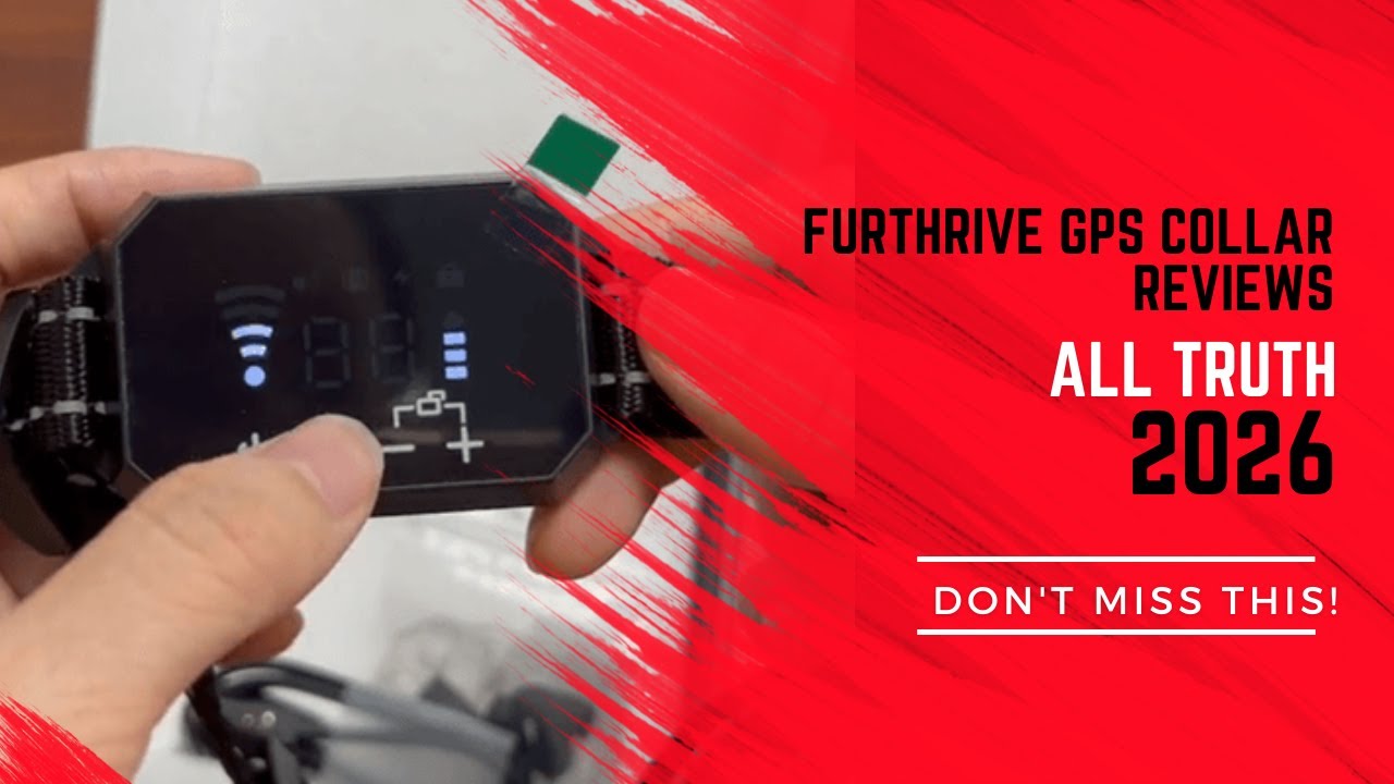 Furthrive GPS Collar Reviews Customers Verdict All Truth about Furthrive GPS Collar (Does It Work?)