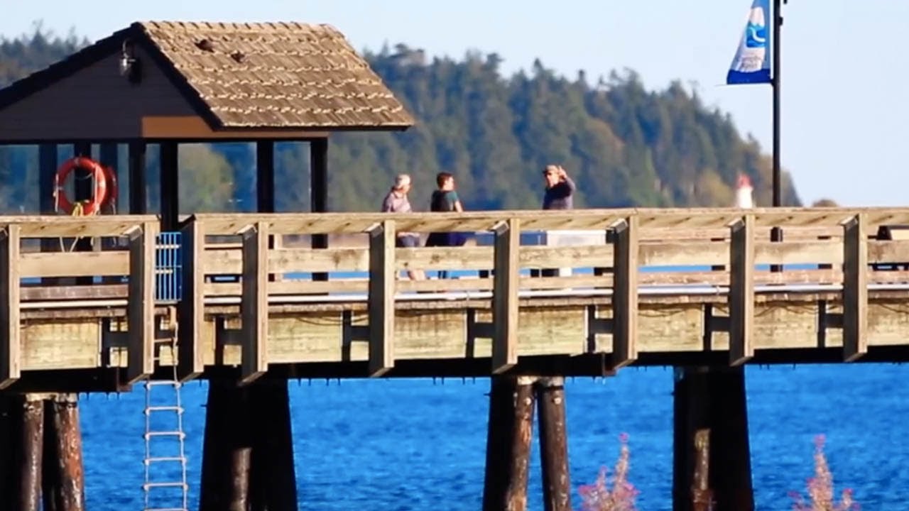 Destination Campbell River: Welcome to the Wild