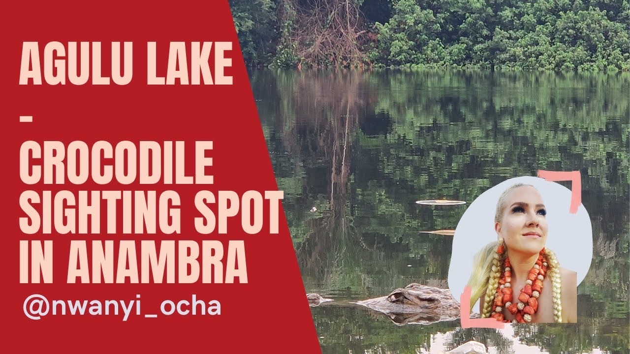 Crocodile lake in Anambra - a must see!