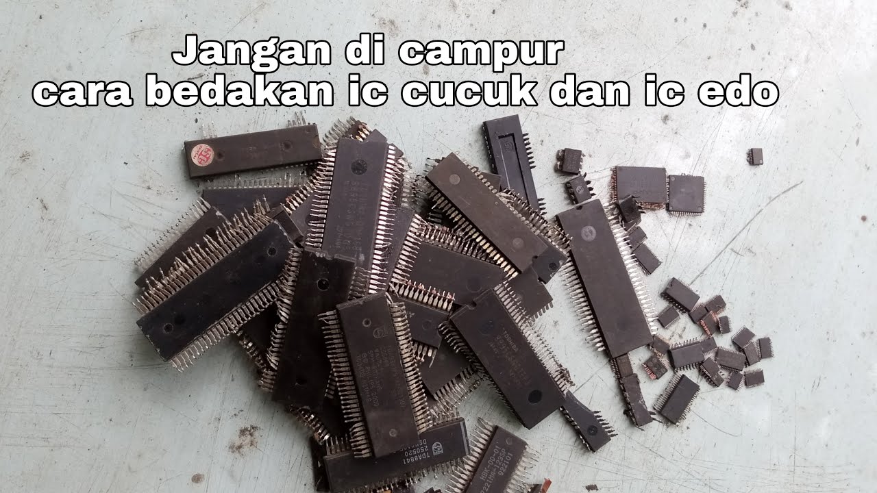 ROSOK MAHAL ‼ cara membedakan IC cucuk dan IC edo untuk Pemula