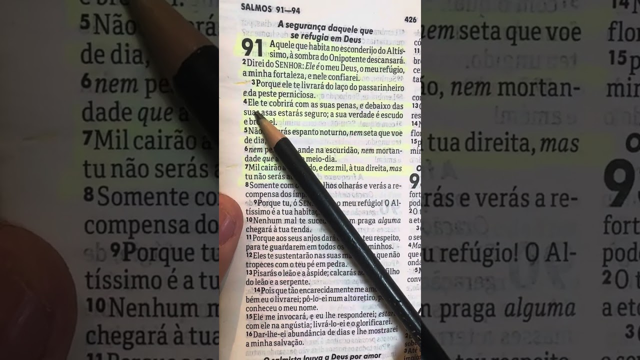 Poderosa oração do salmo 91