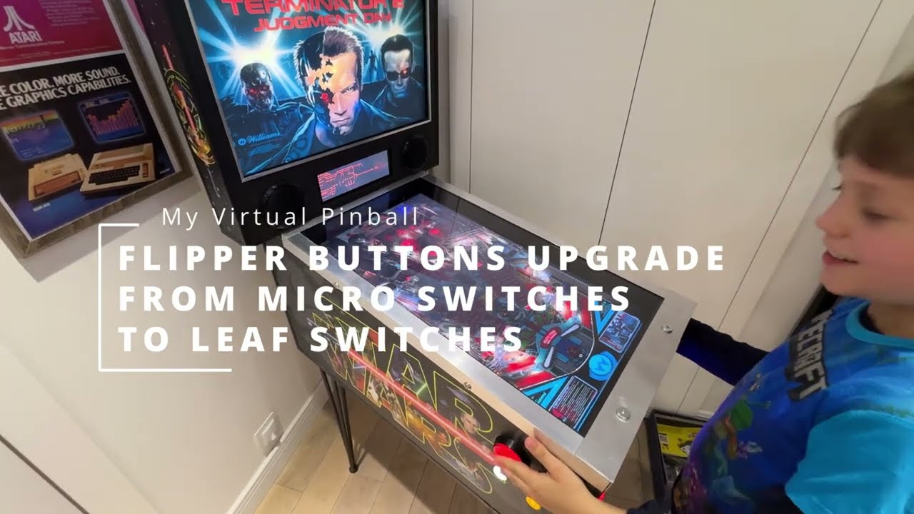 Virtual Pinball - Leaf Switches Upgrade