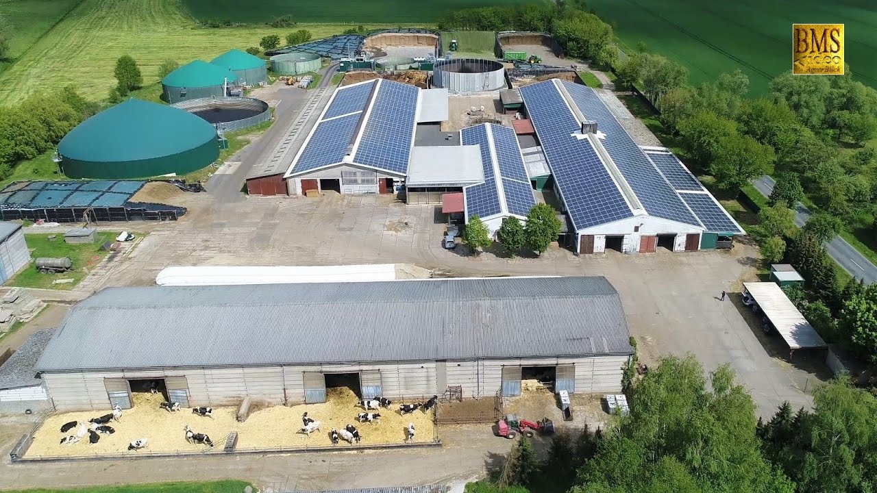 Von der Ernte bis zur Milch -  Einblick Landwirtschaft - Milchvieh- / Ackerbaubetrieb Sachsen-Anhalt