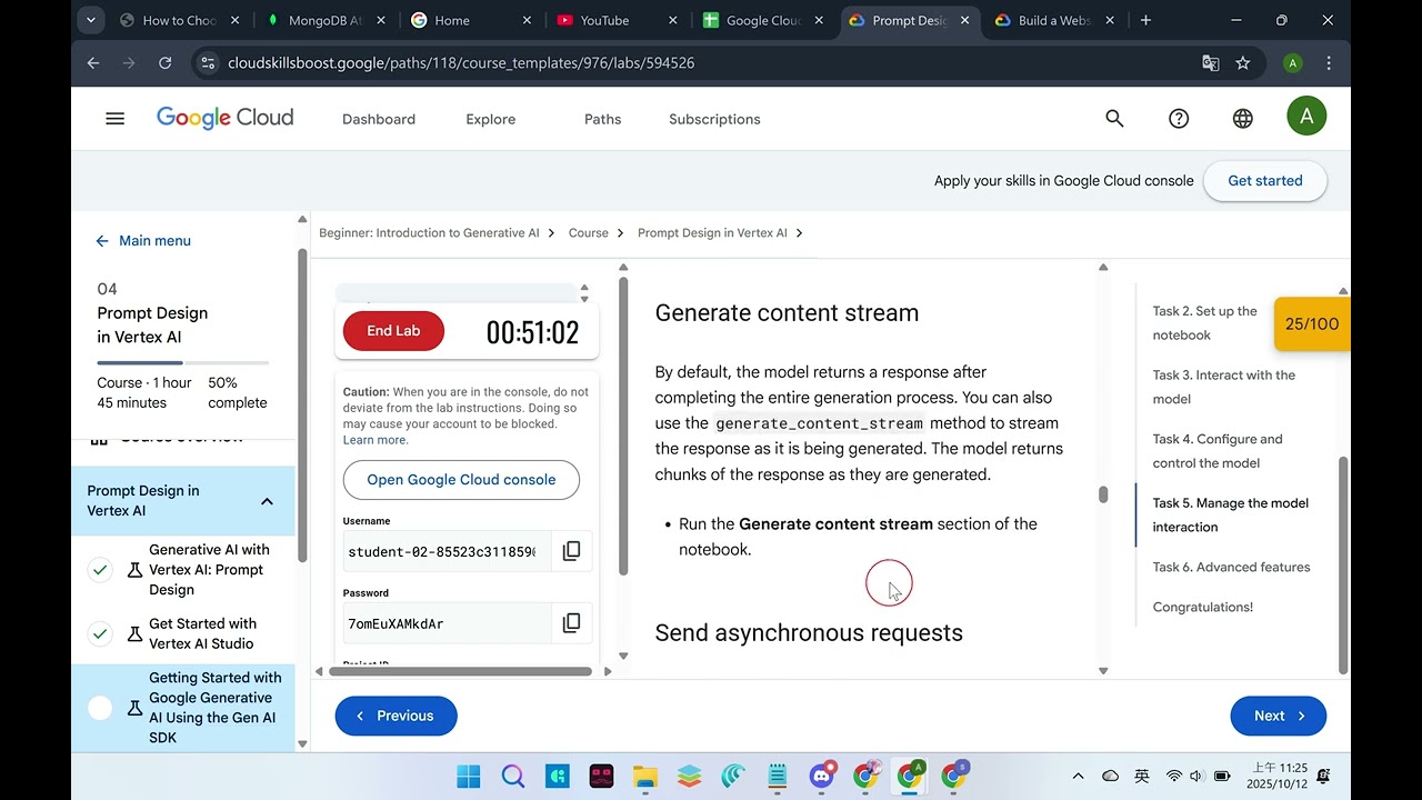Getting Started with Google Generative AI Using the Gen AI SDK GSP1209