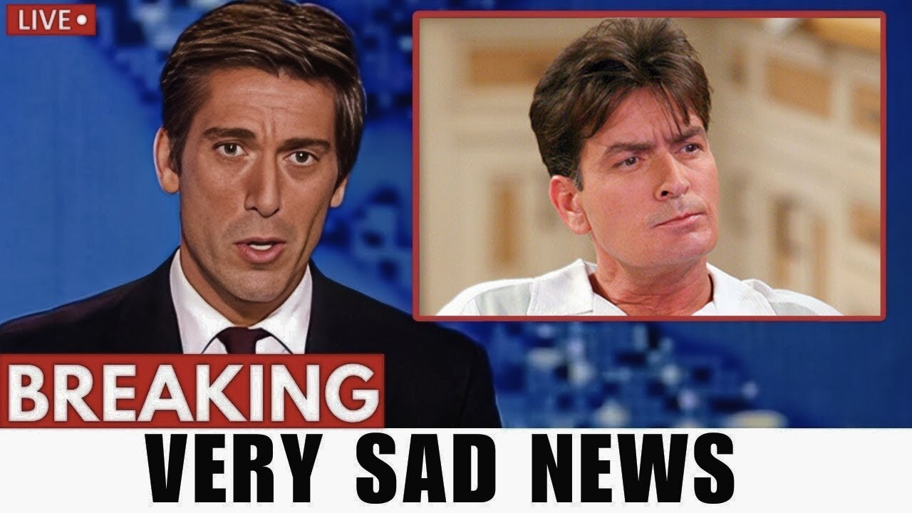 Remember Charlie Sheen from Two and a Half Men? What Happened After the Fallout