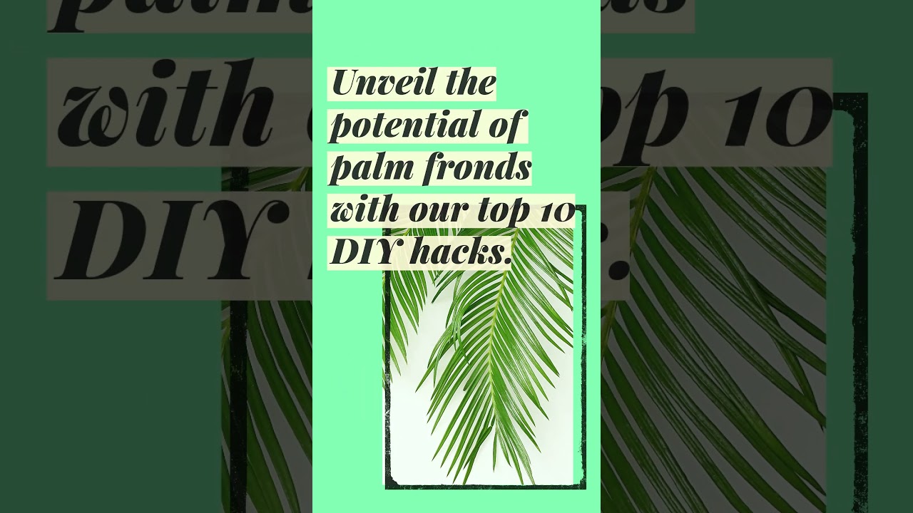 🌴What to do with palm fronds?  Palm Frond Magic: 10 DIY Hacks Teaser 🌴🌴 🌴 - Palms of LA