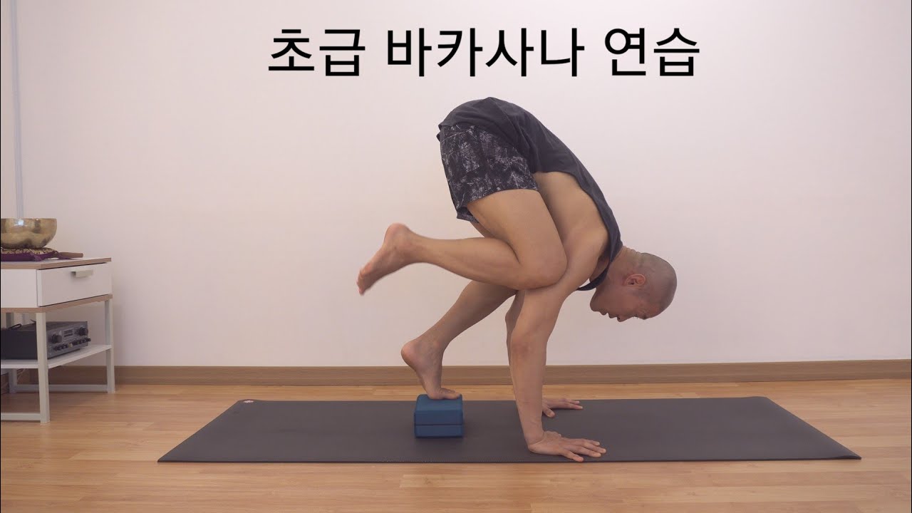 초급 바카사나 연습 - 아쉬탕가 요가 (AshtangaYoga - Bakasana)