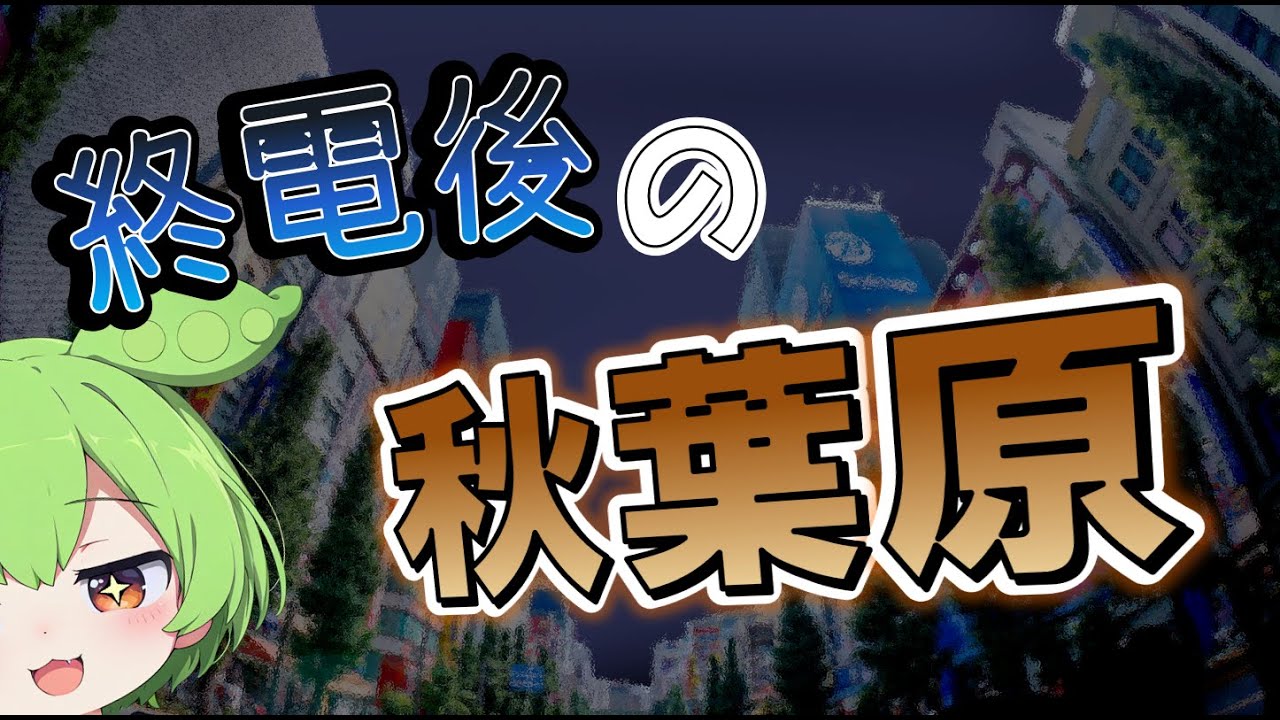 【深夜】終電後の秋葉原にいくのだ【徘徊】
