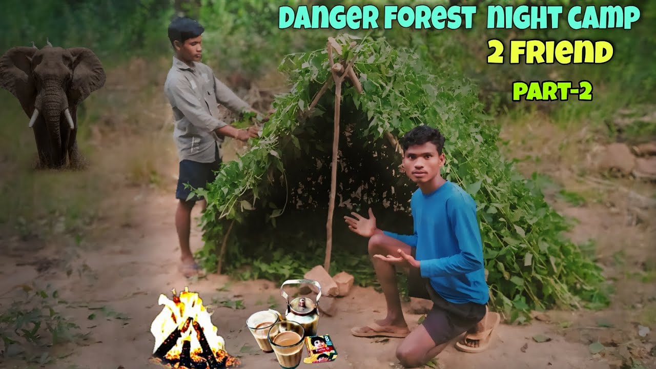 Dangerous forest, Winter night, two Friends Camping in a Deep Forest ll part-2