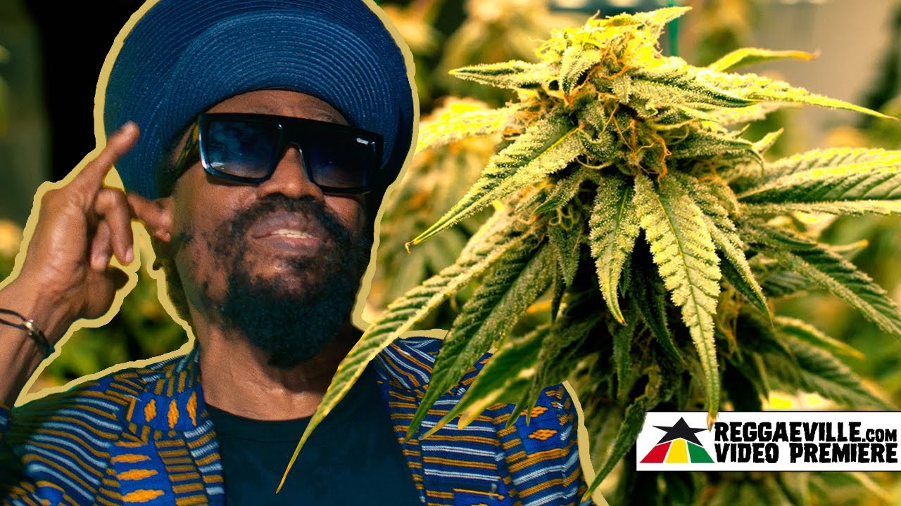 Mykal Rose - Marijuana [Official Video 2023]