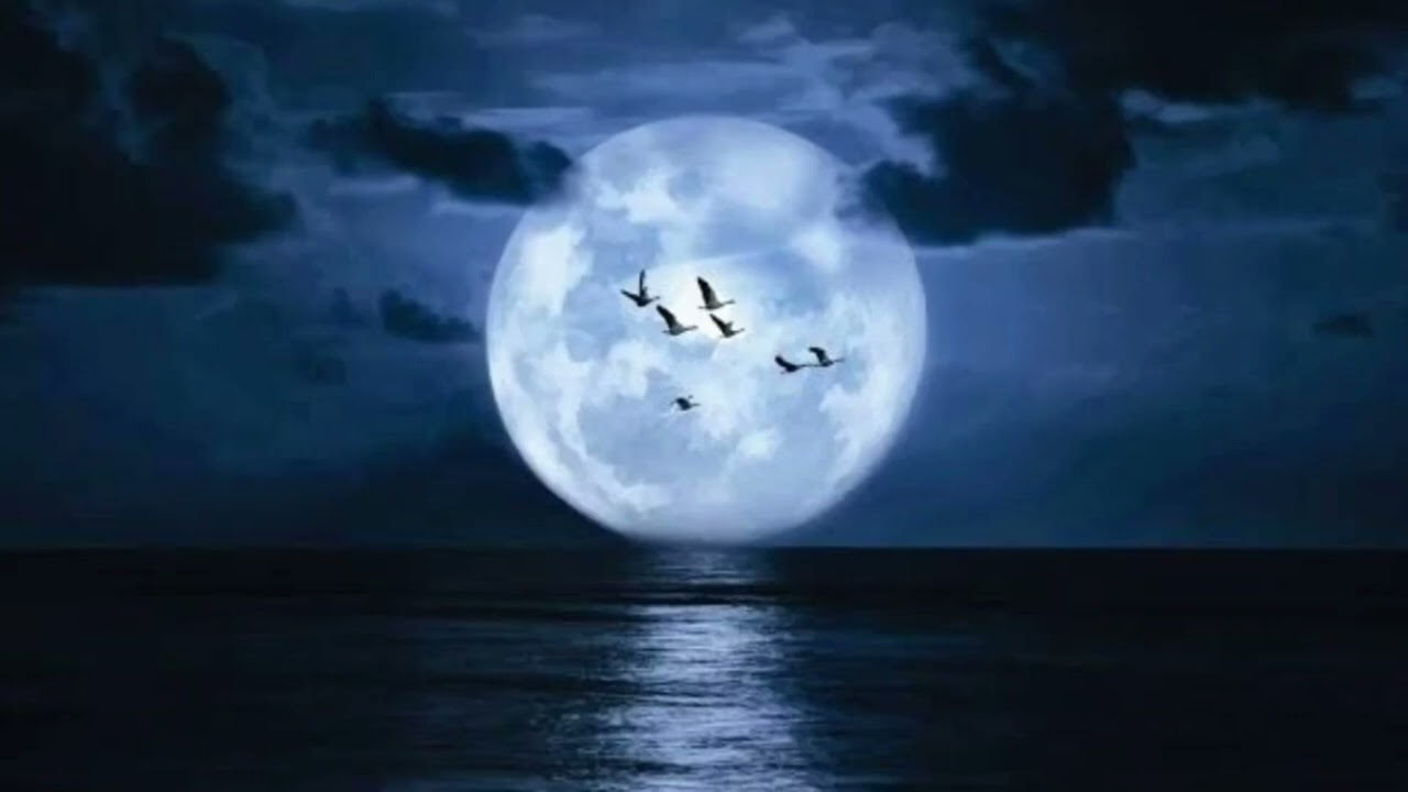 (SOLVED: Somewhere In The Night) Michael Bradley - Somewhere in the night