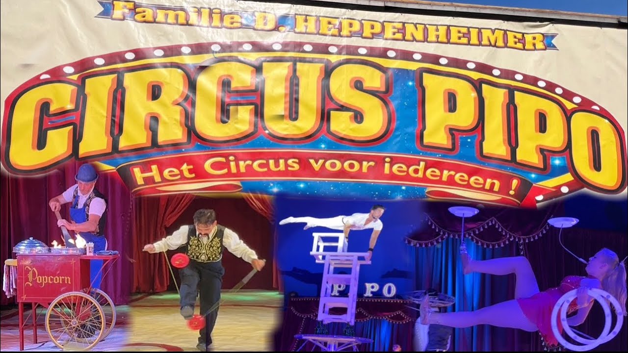 CIRCUS PIPO 2024
