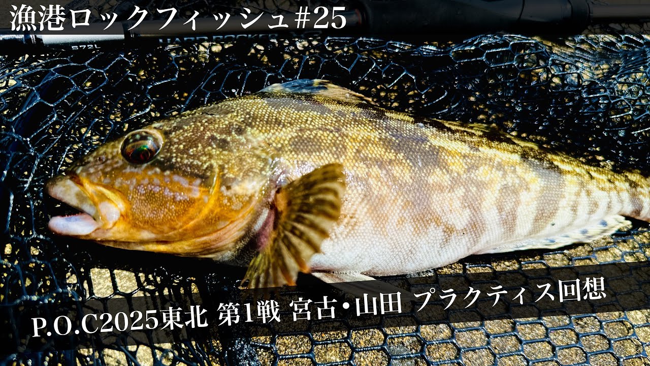【漁港ロックフィッシュ#25】パワーオーシャンカップのプラクティスを回想する回〔アイナメ〕〔山田釣り〕〔宮古釣り〕