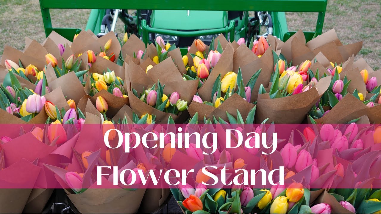 Boom or Bust??? Flower Stand Opening Day! 🌷