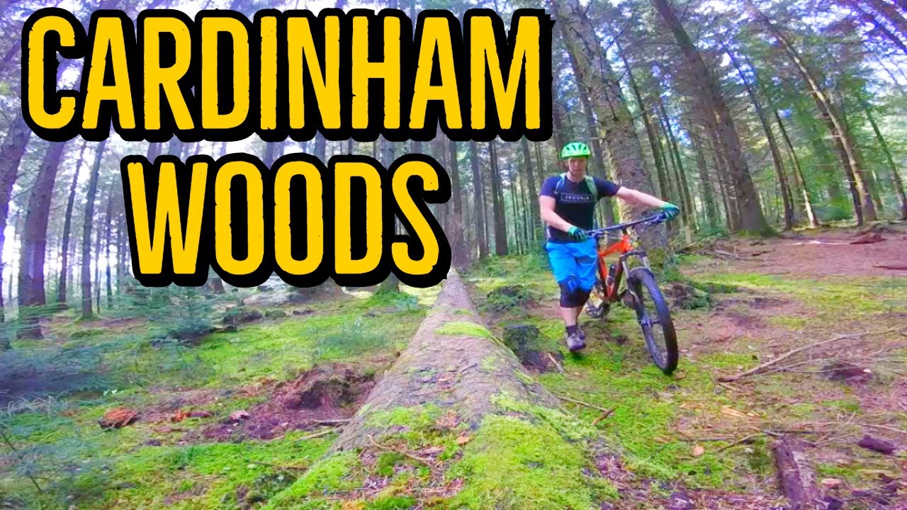 Трассы Cardinham Woods MTB — обзор и описание маршрута для горного велосипеда
