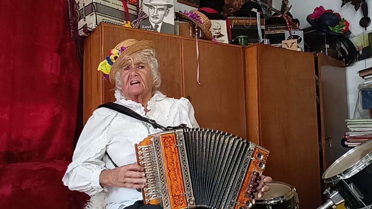 darovalo mi děvčátko - heligonka