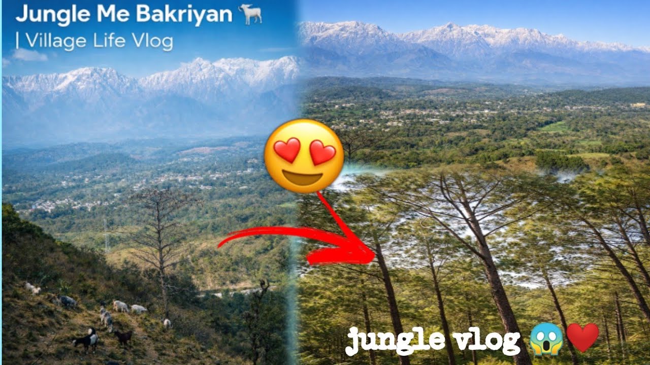 Jungle me vlog😱❤️। Village life style vlog ☺️😍।। New vlog