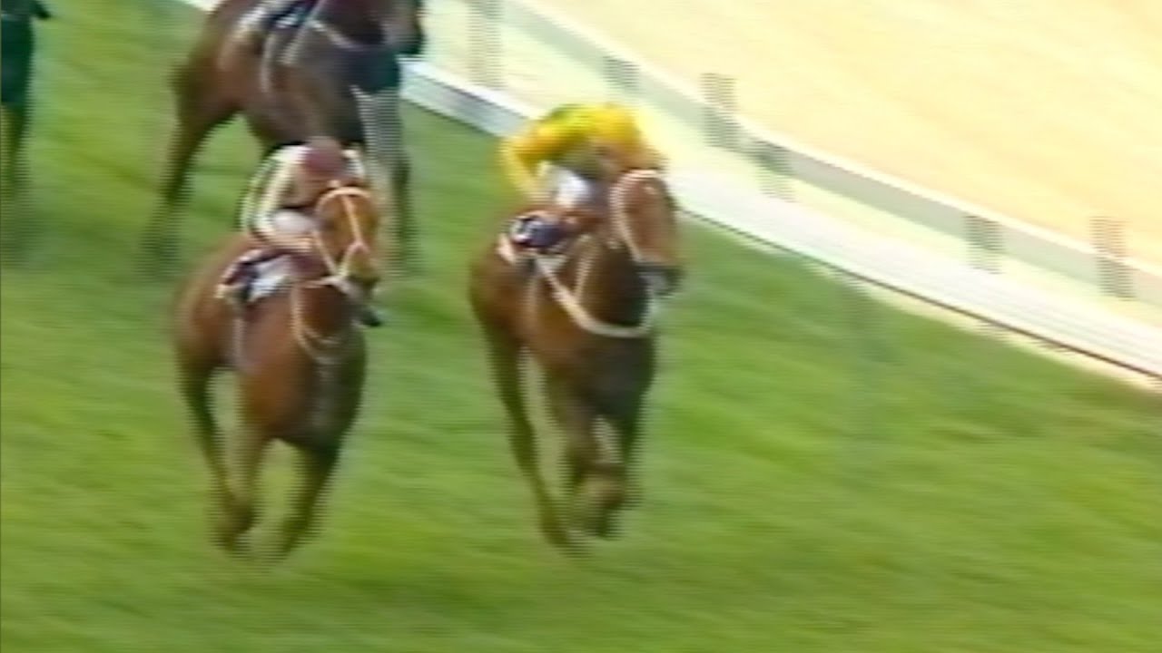Bonecrusher - W.S. Cox Plate Group 1