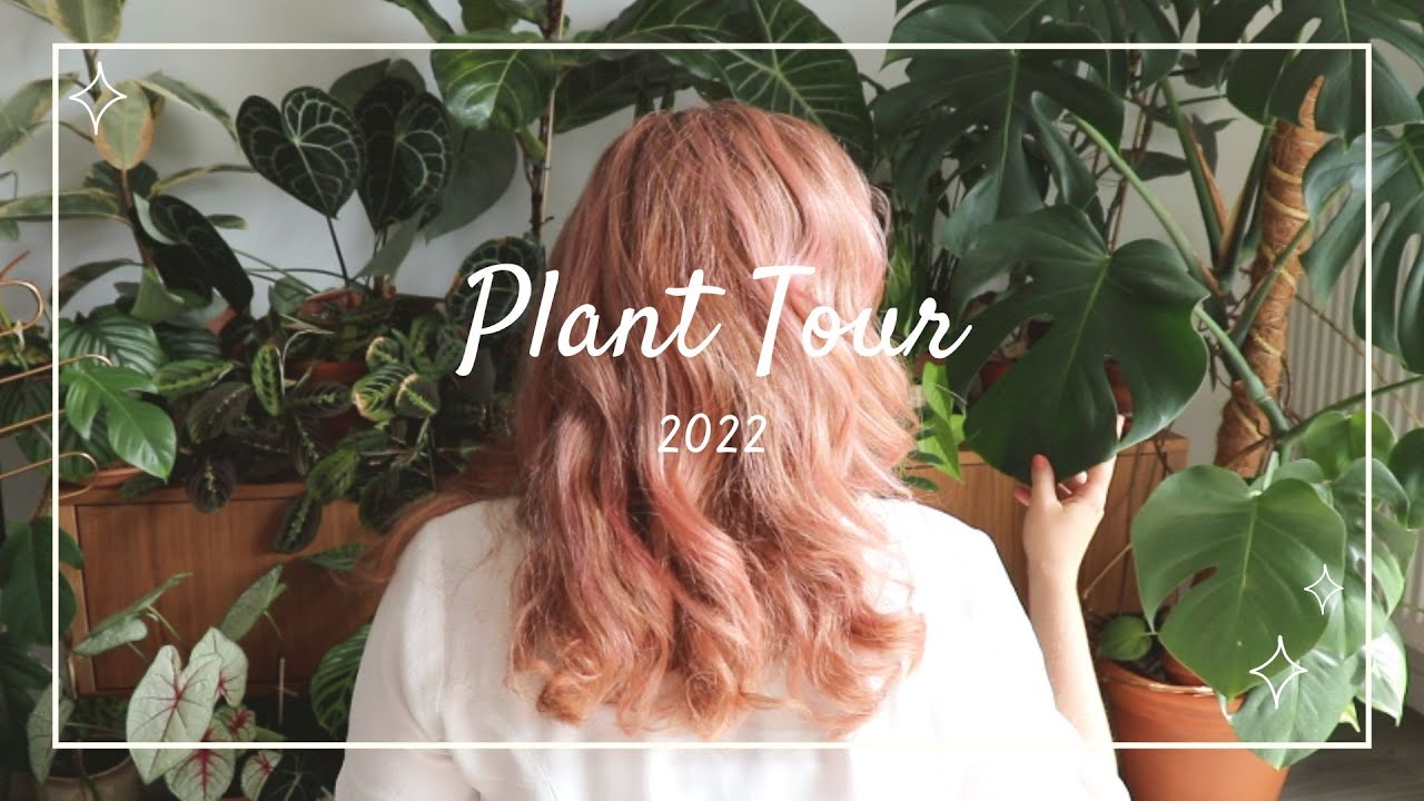 Plant Tour | Rentrée 2022 🍃